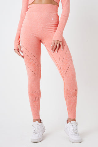 Light N Tight Leggings by Calison Weiss Zyia Active Independent Rep in La  Crosse, WI - Alignable
